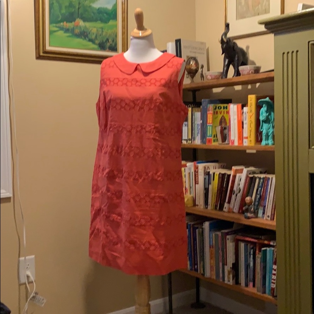 Boden. Peter Pan collar. US14R shift dress